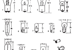 BULBS PIC