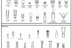 bases_filaments